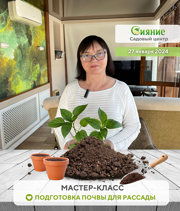 Мастер-класс "Подготовка почвы для рассады и сложности в выращивании рассады"