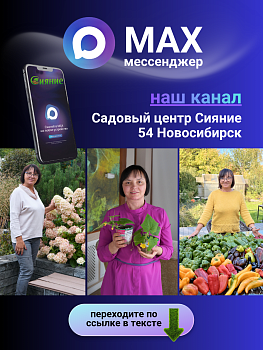 Канал нашего Садового центра Сияние в МАХ