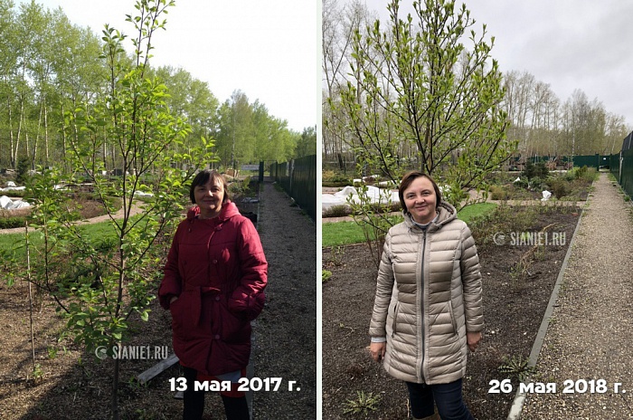 Весна в Новосибирске в сравнении