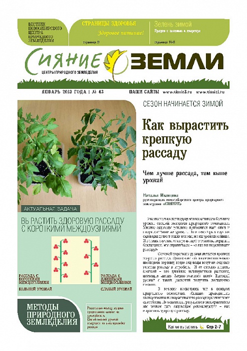 Вестник - 43 (январь 2013)