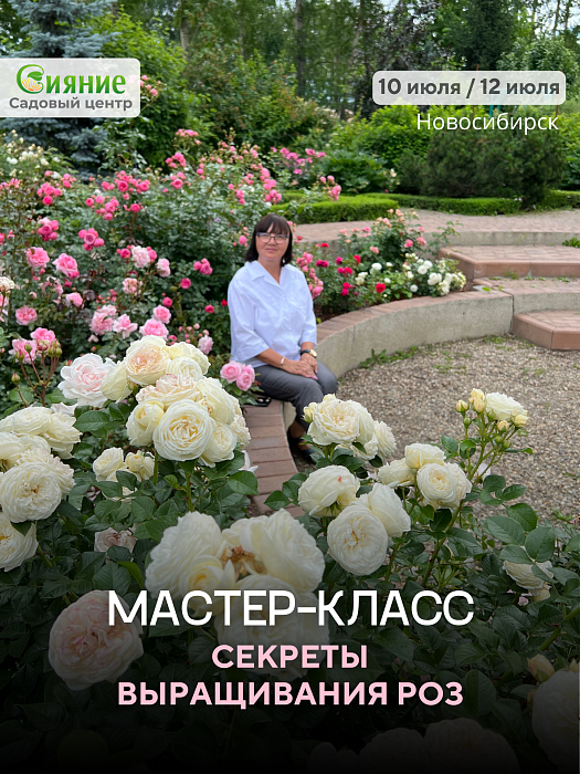 Мастер-класс "Секреты выращивания роз" 2025
