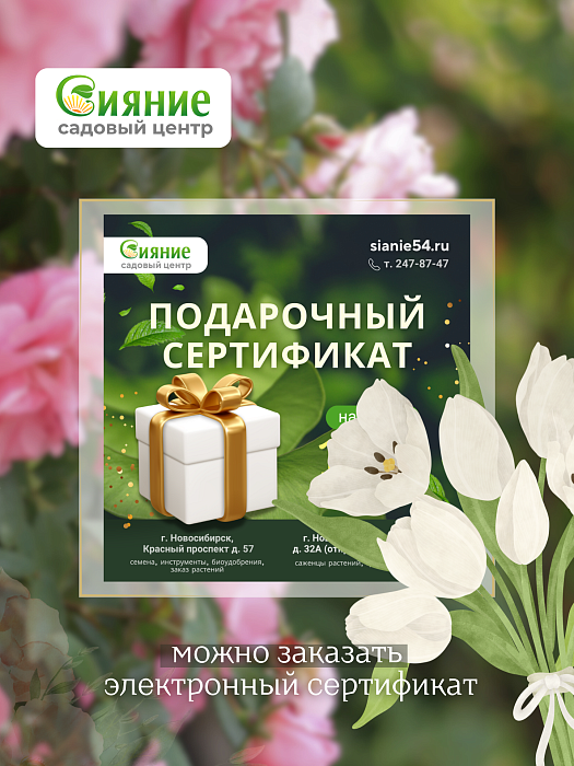 Подарочный сертификат на 8 марта