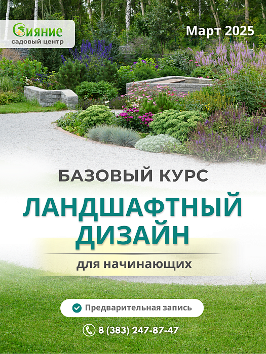 Базовый курс «Ландшафтный дизайн для начинающих»