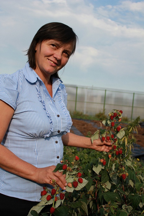 Школа садоводов - занятие "Выращивание ягодных кустарников"