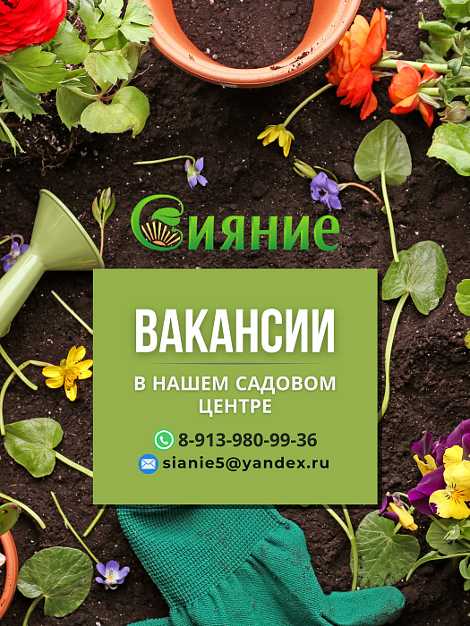 Вакансии в садовом центре Сияние