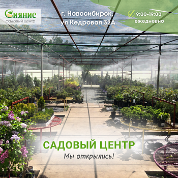 Открытие летнего садового центра на Кедровой 32А