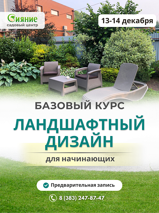 Базовый курс "Ландшафтный дизайн для начинающих" в декабре Базовый курс "Ландшафтный дизайн для начинающих" в декабре