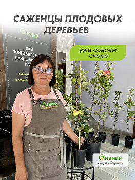 Отличные сорта плодовых для вашего сада уже доступны к заказу и совсем скоро будут в продаже