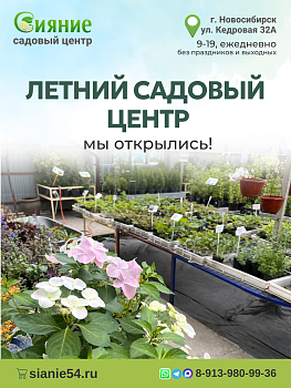 Мы открыты на Кедровой! Садовый центр "Сияние" Мы открыты на Кедровой! Садовый центр "Сияние"